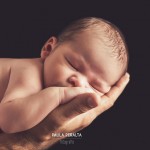 presupuesto fotografia newborn